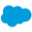 salesforce logo 7 Salesforce | قيود Salesforce