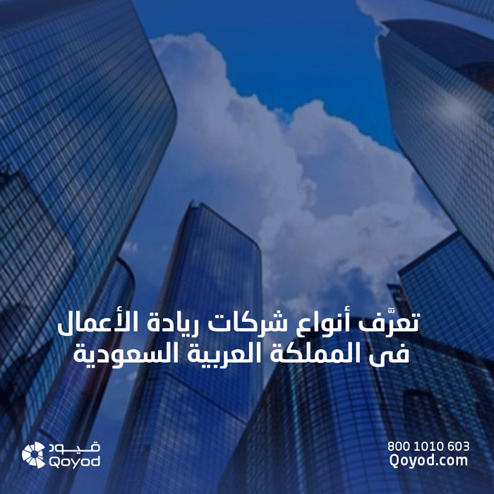شركات ريادة الأعمال