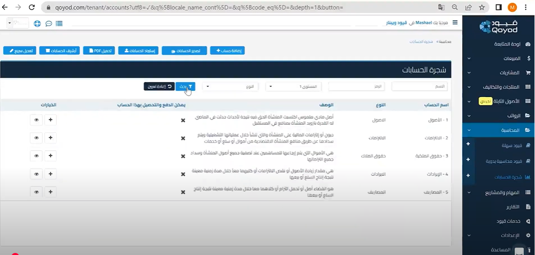 شجرة الحسابات واستيرادها واضافة القيود اليومية